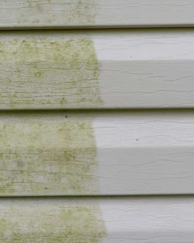 picture vinyl siding that needs to be cleaned